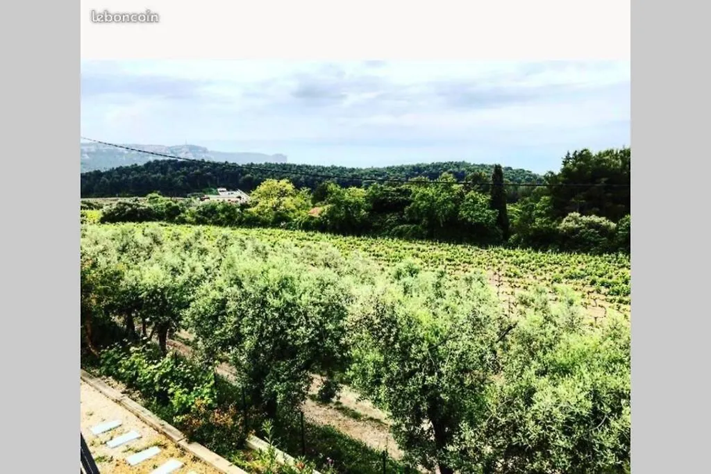 Studio Dans Les Vignes De Cassis location